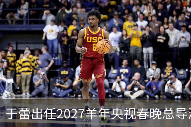 于蕾出任2027羊年央视春晚总导演，连续第5年执导春晚