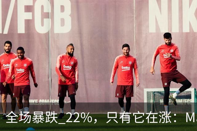 全场暴跌 22%，只有它在涨：Mate 80 的 900 万台是谁买的？