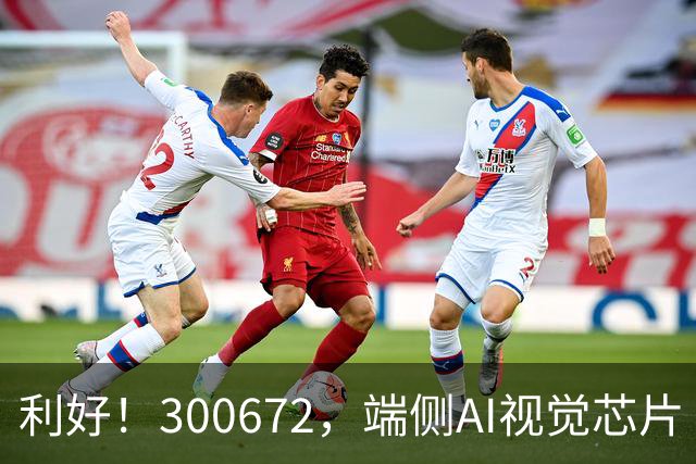 利好！300672，端侧AI视觉芯片“小巨人”，前三季度净利增超56倍