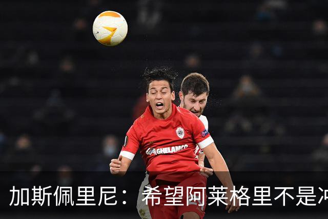 加斯佩里尼：希望阿莱格里不是冲我生气，把他罚下的可不是我