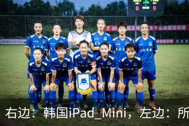 右边：韩国iPad Mini，左边：所有其他国家的iPad Mini