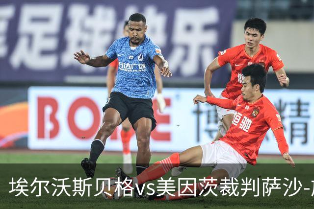 埃尔沃斯贝格vs美因茨裁判萨沙-施特格曼数据：近20场3红79黄7点