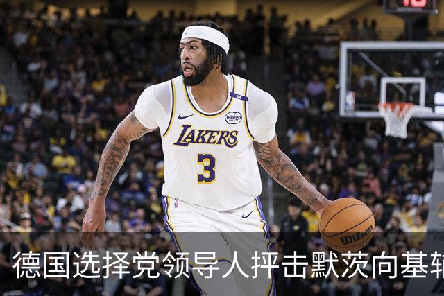 德国选择党领导人抨击默茨向基辅提供新援助：他现在完全失去理智