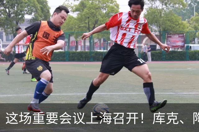 这场重要会议上海召开！库克、陶玲、赖秀福等多位大咖，最新发声