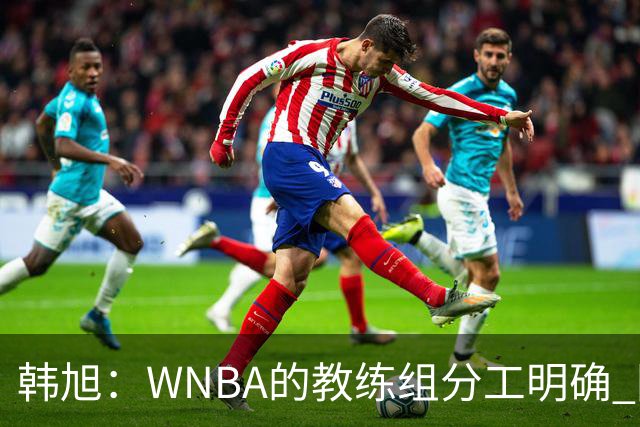 韩旭：WNBA的教练组分工明确 国内基本就是一个主教练+两个助教