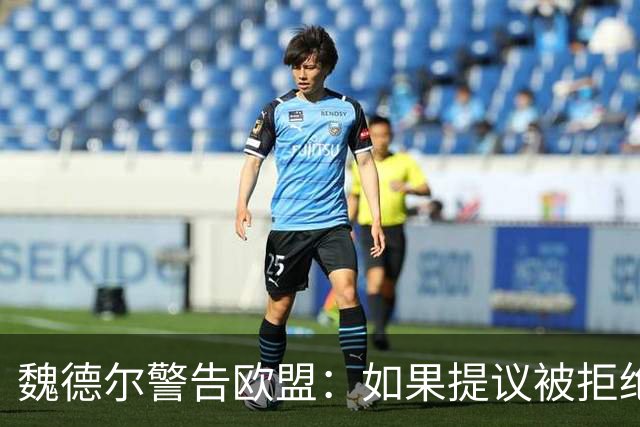 魏德尔警告欧盟：如果提议被拒绝，在上台后，德国将举行脱欧公投
